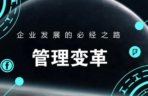企業(yè)數字化轉型中的管理變革